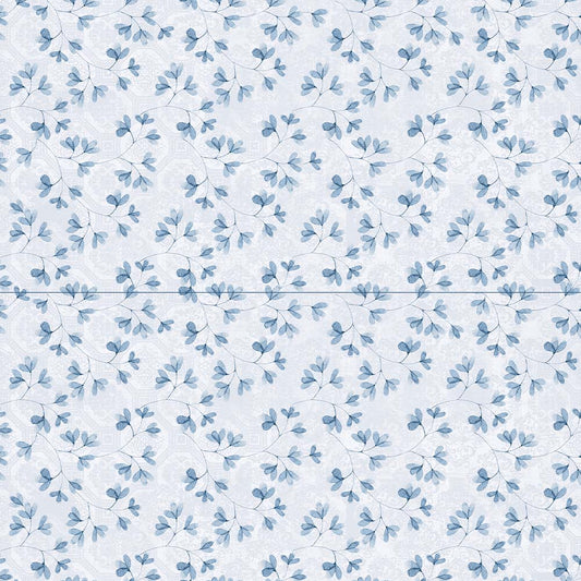 Bloom